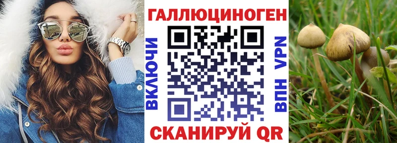 сайты даркнета официальный сайт  купить закладку  Междуреченск  Галлюциногенные грибы мицелий 