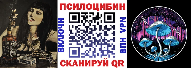 Псилоцибиновые грибы Psilocybe Междуреченск