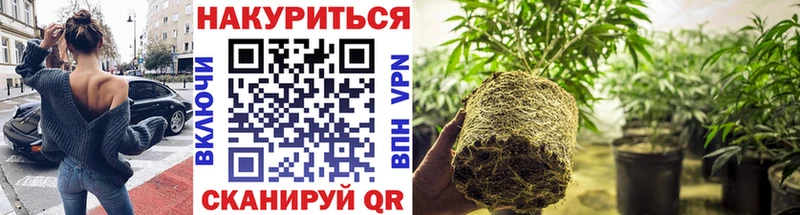 Каннабис SATIVA & INDICA  Междуреченск 